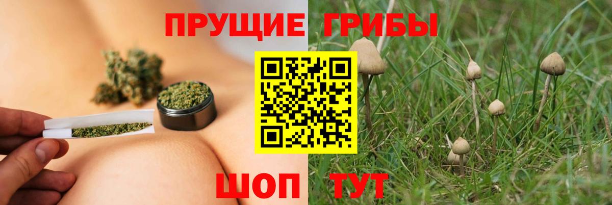 Псилоцибиновые грибы ЛСД Кубинка