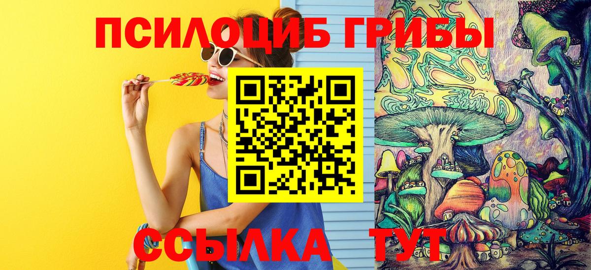 Псилоцибиновые грибы Psilocybe  Псилоцибиновые грибы прущие грибы  Вход с VPN  Кубинка 